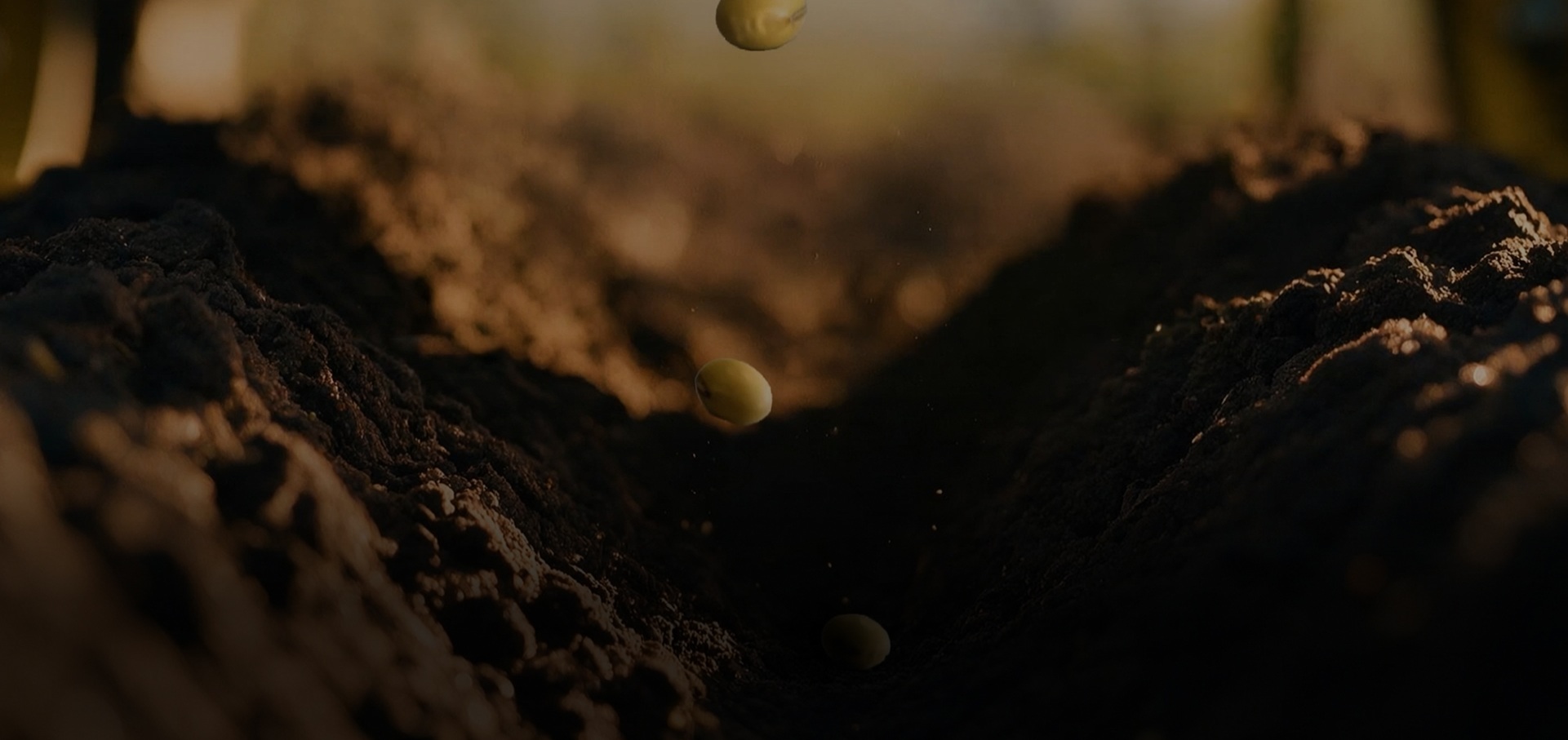 John Deere - Plante e Aplique